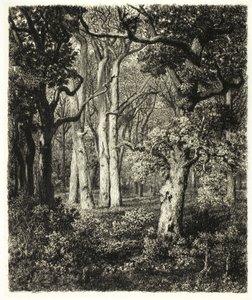 Old Oaks Bas Bréau-ban