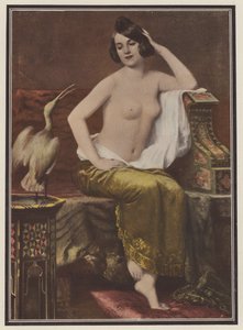A kedvenc nő madárral (színes litho) alkotó: Adolphe Weisz