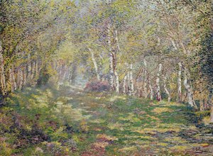 Ezüst nyírek (olaj, vászon) alkotó: Adriaan Josef Heymans