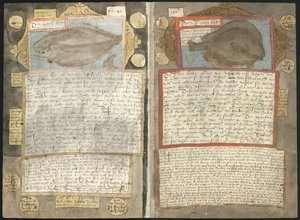 Adriaen Coenen Visboeckje