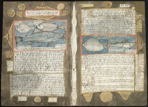 Adriaen Coenen Visboeck - KB 78 E 54 - fóliók 339v (balra) és 340r (jobbra)