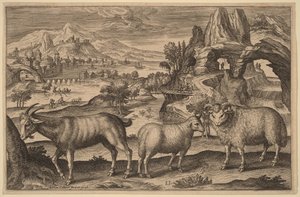  alkotó: Adriaen Collaert
