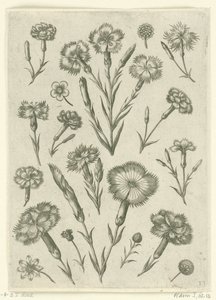 Különféle haragok Florilegium (sorozat címe) alkotó: Adriaen Collaert