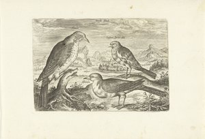 Három madár a tájban Avium Vivae (sorozat címe) Madarak (sorozat címe) alkotó: Adriaen Collaert