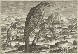 Néhány madár a tájban Madarak (sorozat címe) Avivm vivae (sorozat címe) alkotó: Adriaen Collaert