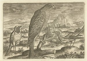 Néhány madár a tájban Madarak (sorozat címe) Avivm vivae (sorozat címe) alkotó: Adriaen Collaert