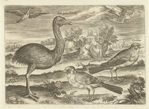 Néhány madár a tájban Madarak (sorozat címe) Avium vivae (sorozat címe) alkotó: Adriaen Collaert