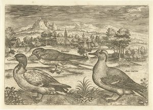 Enkele vogels in een landschap Vogels (series title) Avivm vivae (series title)   1371050   hu       hungarian Successfully Translated  Original: Saint Jean Baptiste. Peinture baroque de Michelangelo Merisi detto il Caravaggio (Le Caravage) Translat: Saint alkotó: Adriaen Collaert