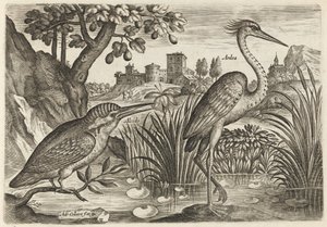  alkotó: Adriaen Collaert