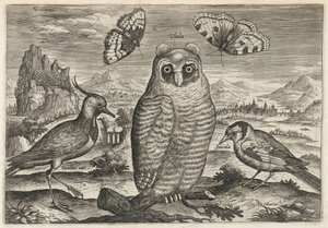  alkotó: Adriaen Collaert