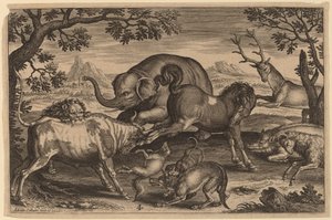Lion, Bull, Fox, Wolf, Dog, Boar, Goat, Horse, Elephant and Deer   1241060   hu       hungarian Successfully Translated  Original: Sabijnse maagdenroof Translat: Sabijnse maagdenroof 1384686 hu hungarian Successfully Translated Original: Inhoudsopgave Bloe alkotó: Adriaen Collaert
