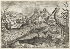  alkotó: Adriaen Collaert