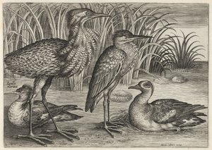  alkotó: Adriaen Collaert