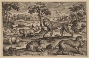  alkotó: Adriaen Collaert