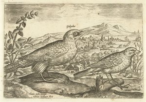Két madár a tájban Avium Vivae (sorozat címe) Madarak (sorozat címe) alkotó: Adriaen Collaert