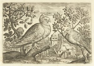 Két madár a tájban Avium Vivae (sorozat címe) Madarak (sorozat címe) alkotó: Adriaen Collaert