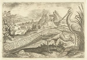 Két madár a tájban Avium Vivae (sorozat címe) Madarak (sorozat címe) alkotó: Adriaen Collaert