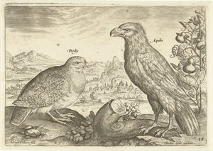 Két madár a tájban Avium Vivae (sorozat címe) Madarak (sorozat címe) alkotó: Adriaen Collaert