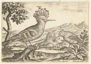Két madár a tájban Madarak (sorozat címe) Avium Vivae (sorozat címe) alkotó: Adriaen Collaert