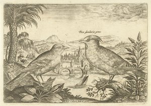 Két madár a tájban Madarak (sorozat címe) Avium Vivae (sorozat címe) alkotó: Adriaen Collaert