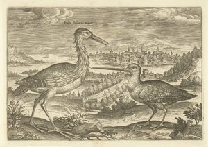 Két madár a tájban Madarak (sorozat címe) Avium vivae (sorozat címe) alkotó: Adriaen Collaert