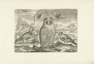 Madarak és pillangók a tájon Madarak (sorozat címe) Avium vivae (sorozat címe) alkotó: Adriaen Collaert