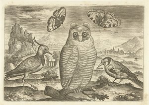 Madarak és pillangók a tájon Madarak (sorozat címe) Avium vivae (sorozat címe) alkotó: Adriaen Collaert