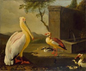 Keleti madarak, 1683