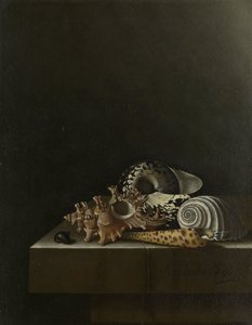 Kagylók a kő lábazaton alkotó: Adrian Coorte