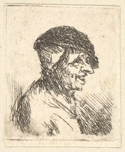 Parasztfő, 17. század. alkotó: Adriaen Jansz. van Ostade