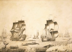 Bálnavadászok a jégen alkotó: Adriaen or Abraham Salm