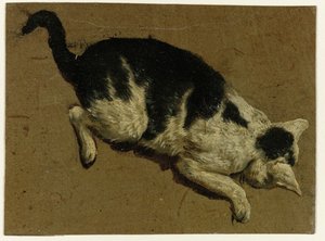 Macska néz le egy emelvényről alkotó: Adriaen van de Velde (attributed to)