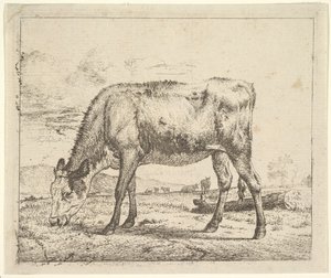 Legelő borjú, a különböző állatokból, 1658. alkotó: Adriaen van de Velde
