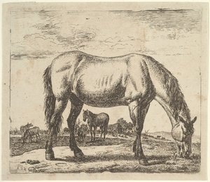 Legelő ló, különböző állatokból. alkotó: Adriaen van de Velde