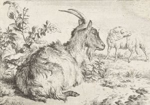 Fekvő kecske, 1670 alkotó: Adriaen van de Velde