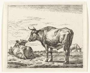 álló bika Különböző állatok (sorozat címe) alkotó: Adriaen van de Velde