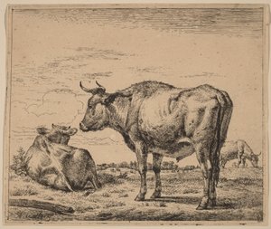 Álló bika alkotó: Adriaen van de Velde