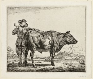 A tehénpásztor és a bika alkotó: Adriaen van de Velde