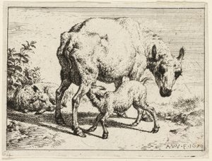 A bárány alkotó: Adriaen van de Velde