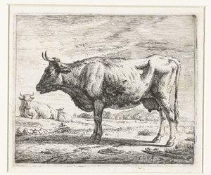 Két tehén és egy birka Különböző állatok (sorozat címe) alkotó: Adriaen van de Velde