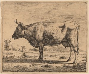 Két tehén és egy birka alkotó: Adriaen van de Velde