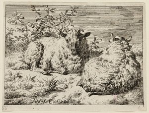 Két birka alkotó: Adriaen van de Velde