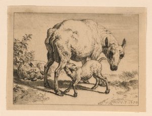 Az Ewe alkotó: Adrian van de Velde