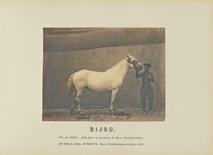 Bijou
