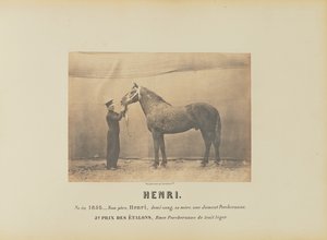 Henri