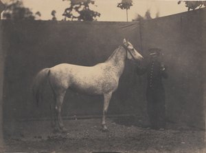 Pascaline, kb. 1855-60.