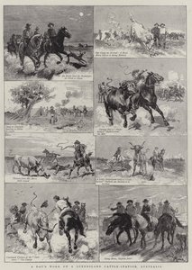 Egy napi munka egy queenslandi szarvasmarha-állomáson, Ausztráliában