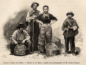 A birkakereskedelem előtt a gazdaság minden dolgozója ezen a helyen dolgozott, fiú, cseléd, a pásztor felügyelete mellett tejet gyűjtöttek a seillesben (fémváza etame), A.Marie rajza nyomán metszett, illusztrálva utazás Roquefóba alkotó: Adrien Emmanuel Marie