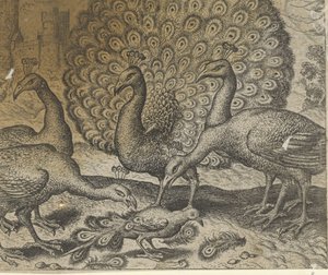 A pávatollas szarka meséje alkotó: Egidius  Sadeler (II)