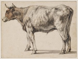 Álló fiatal bika alkotó: Aelbert Cuyp